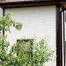 Фасадная панель Grand Line Сланец молочный купить в Петропавловск-Камчатском